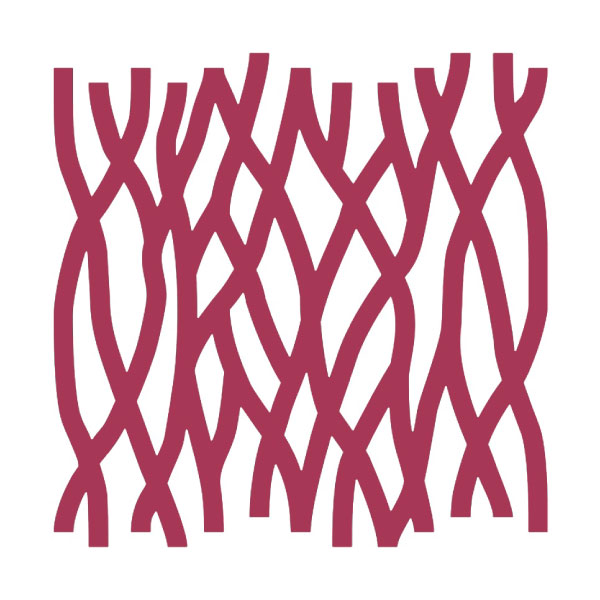                     Raspberry                